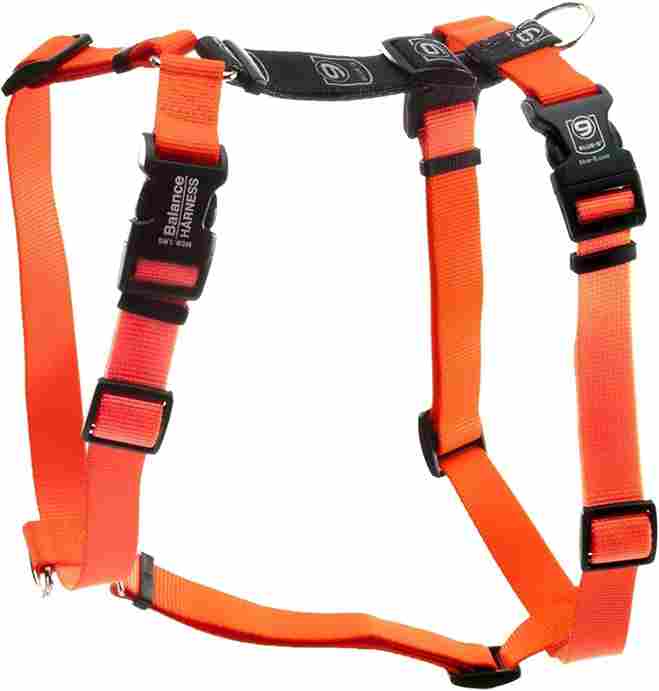 An orange balance harness designed for medium-sized dogs, featuring adjustable straps for comfort.