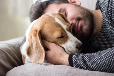 Dog and owner bonding on a couch - building a stronger bond through alternative training methods.