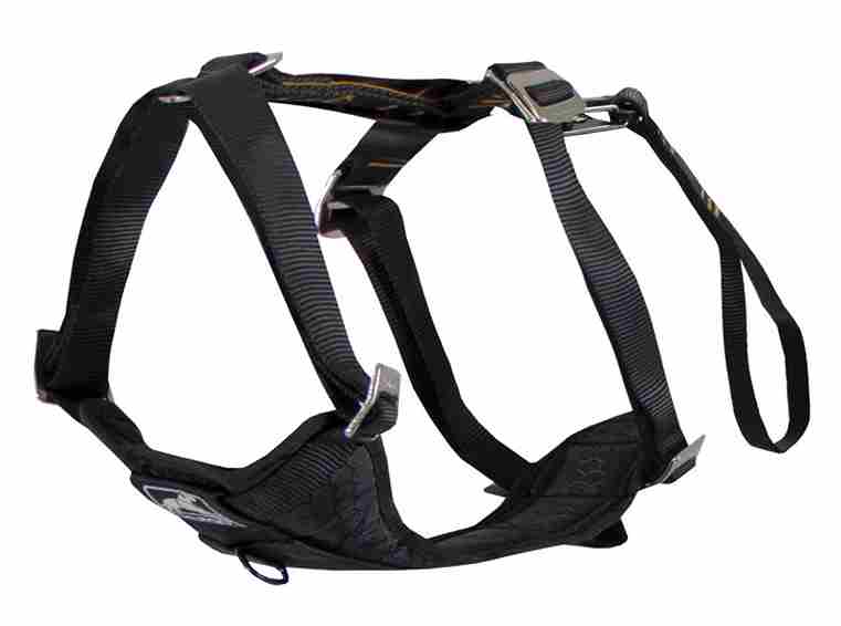  A black harness offering security and comfort for medium dogs, suitable for outdoor adventures.