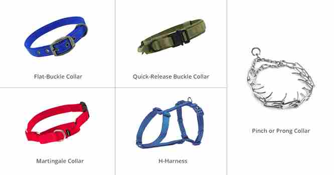 A comparison of different dog collars, including flat collars, Martingale collars, and choke chains for various needs.