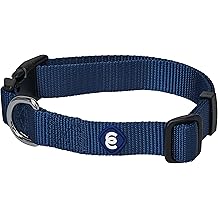 Blueberry Pet solid nylon dog collar, durable and adjustable for small dogs.