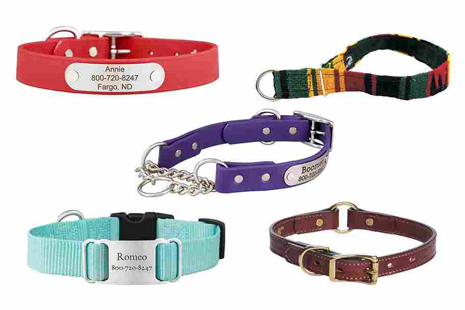 Collection of colorful and stylish dog collars made from different materials.
