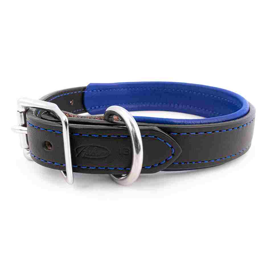 Leather collar with a metal buckle, designed for comfort and durability.