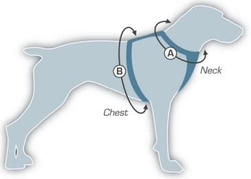 Diagram showing how to measure for the collars for dogs