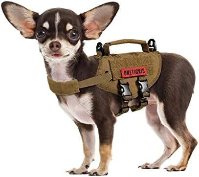 Small dog wearing a onetigris tactical chew proof collar with attached gear