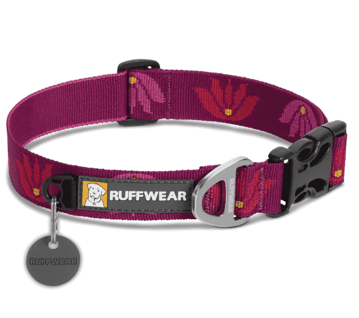 Ruffwear dog collar in vibrant purple, a top choice among the best dog collars for large dogs, especially for outdoor adventures.