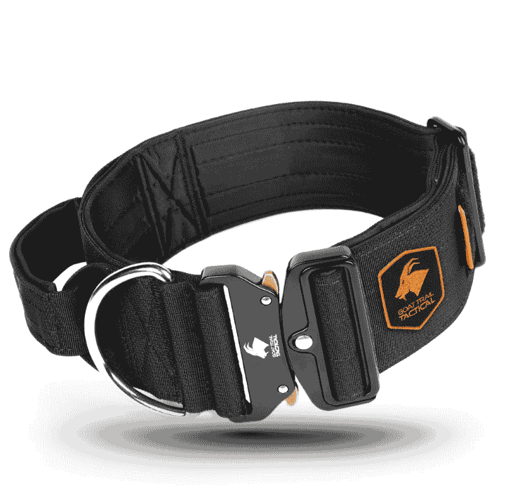 Close-up of a durable black dog collar, one of the best dog collars for large dogs designed for strength and comfort.