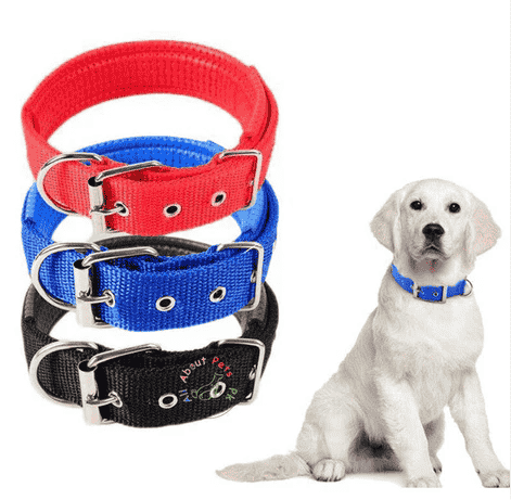 Set of colorful dog collars for large breeds, showcasing stylish options for the best dog collar for large dogs.